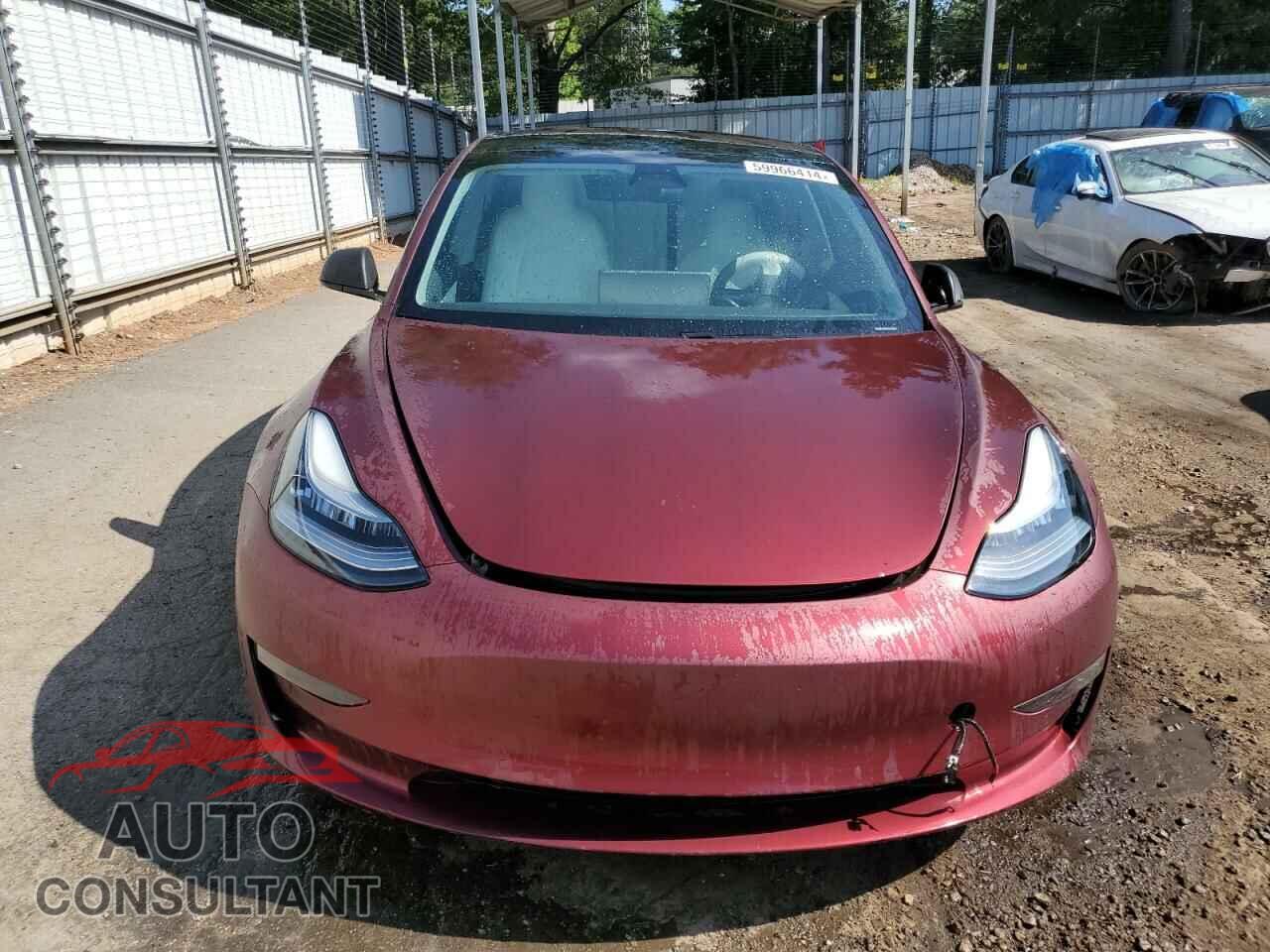 TESLA MODEL 3 2019 - 5YJ3E1EA5KF402963