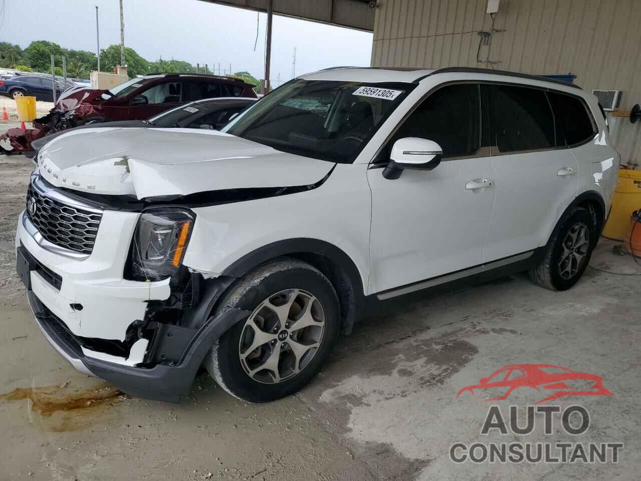 KIA TELLURIDE 2020 - 5XYP34HCXLG047806
