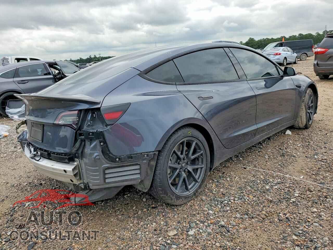 TESLA MODEL 3 2021 - 5YJ3E1EA9MF096059