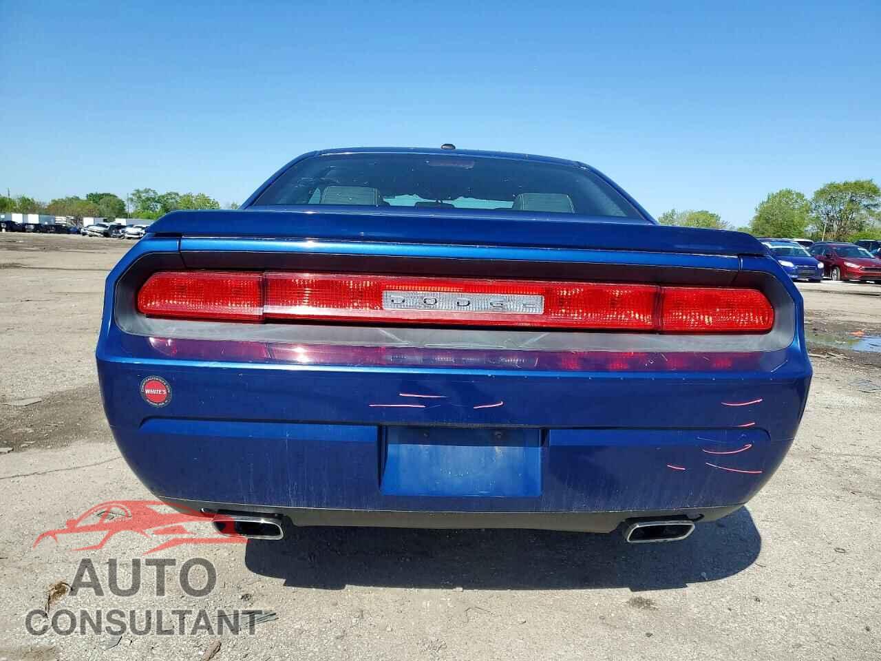 DODGE CHALLENGER 2010 - 2B3CJ5DTXAH131124