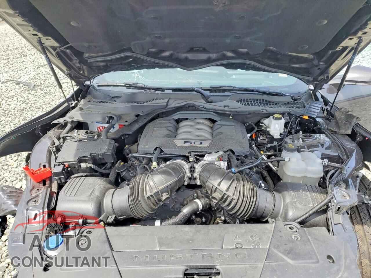 FORD MUSTANG 2024 - 1FA6P8CF2R5430218