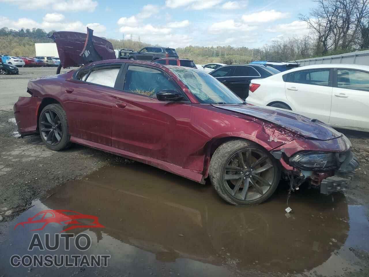 DODGE CHARGER 2019 - 2C3CDXHG9KH607724
