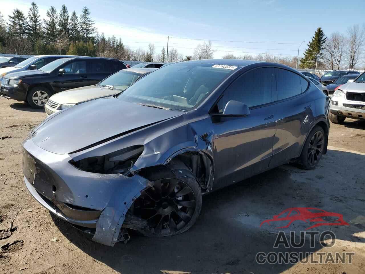 TESLA MODEL Y 2022 - 7SAYGAEEXNF517729