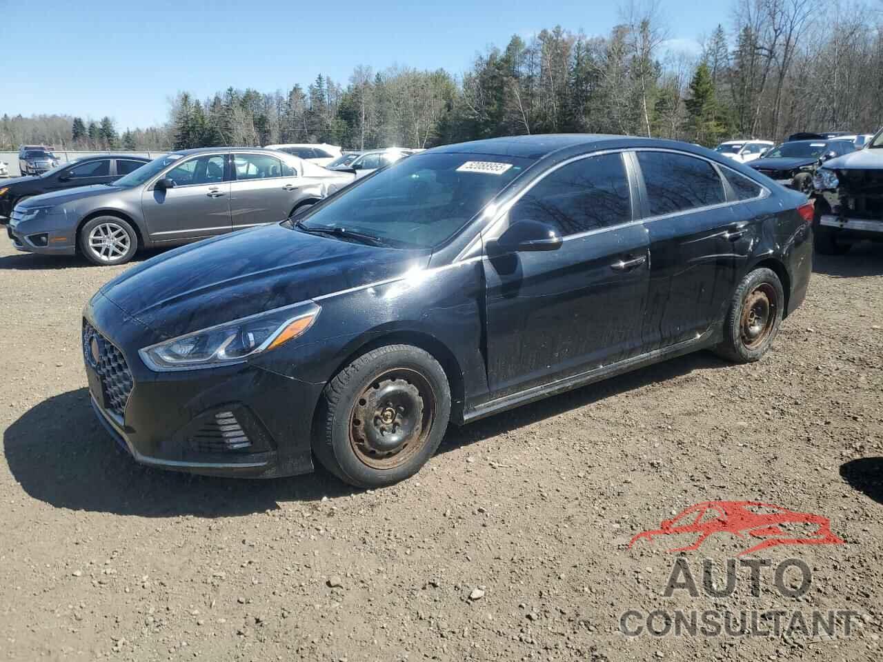 HYUNDAI SONATA 2019 - 5NPE34AF9KH785907