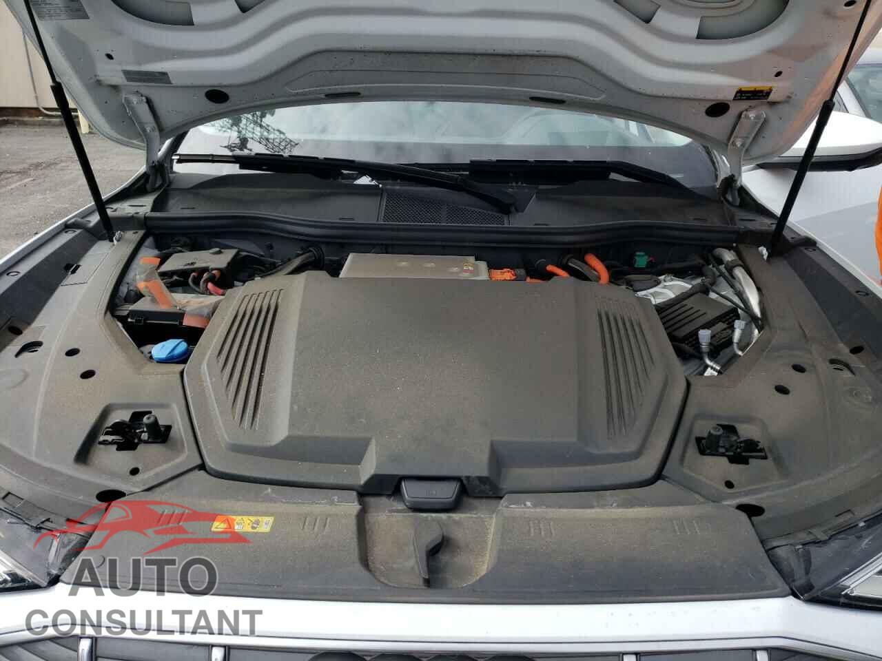 AUDI E-TRON 2019 - WA1VABGEXKB024128