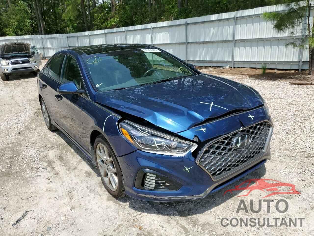 HYUNDAI SONATA 2019 - 5NPE34AB6KH802868