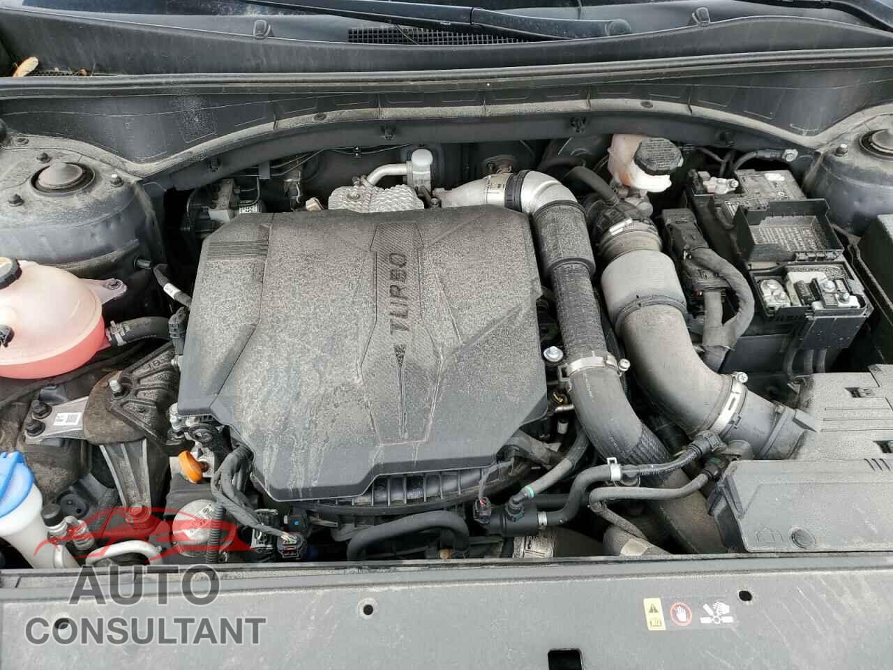 KIA SORENTO 2021 - 5XYRGDLF5MG016690