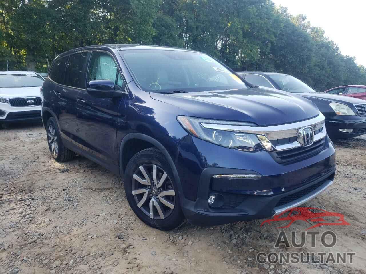 HONDA PILOT 2019 - 5FNYF5H55KB043896