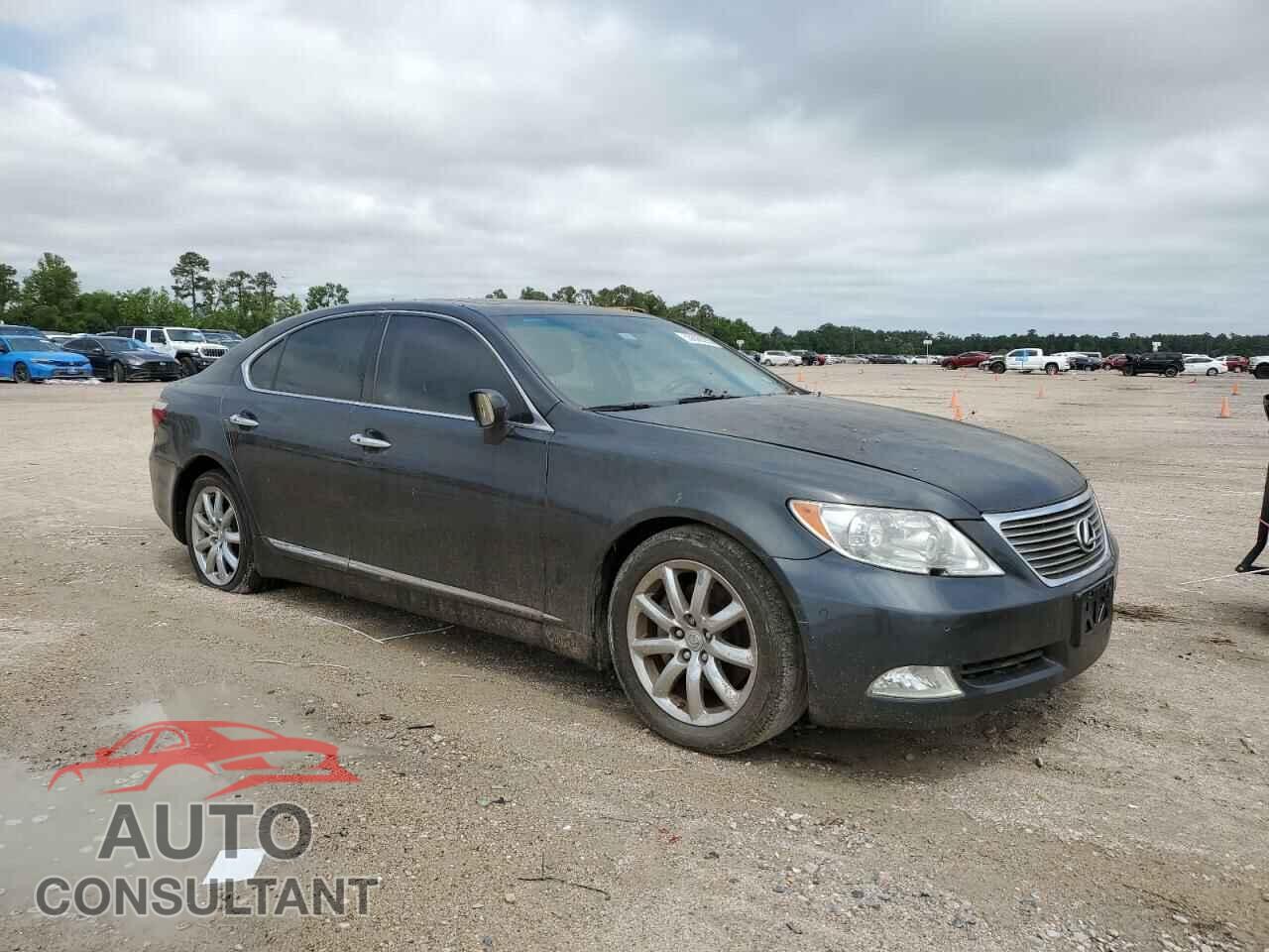 LEXUS LS460 2009 - JTHBL46F695084665