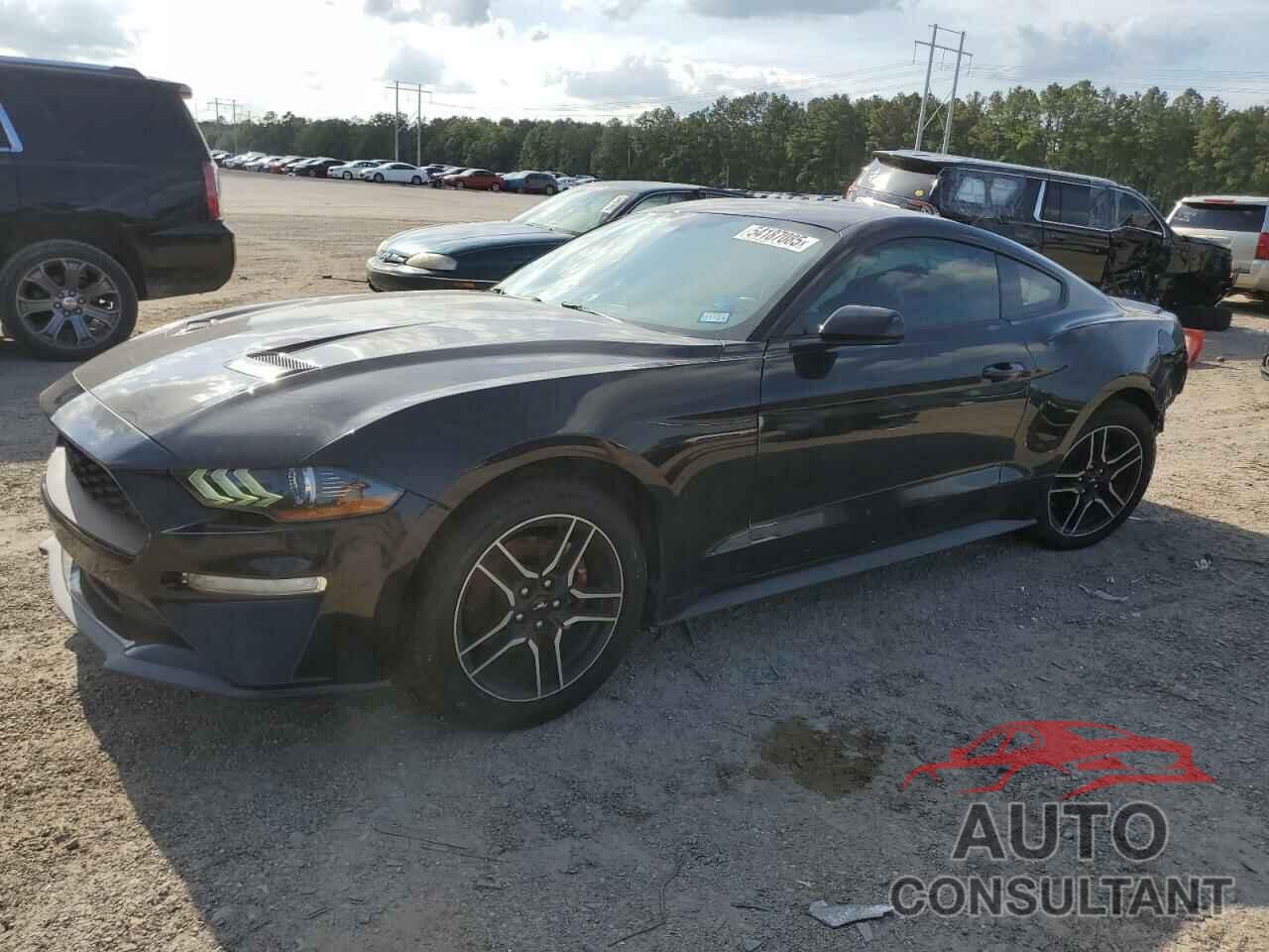 FORD ALL Models 2019 - 1FA6P8TH6K5177945
