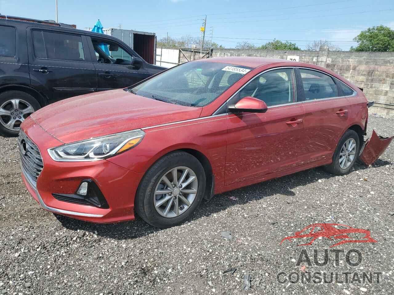 HYUNDAI SONATA 2019 - 5NPE24AF7KH808765