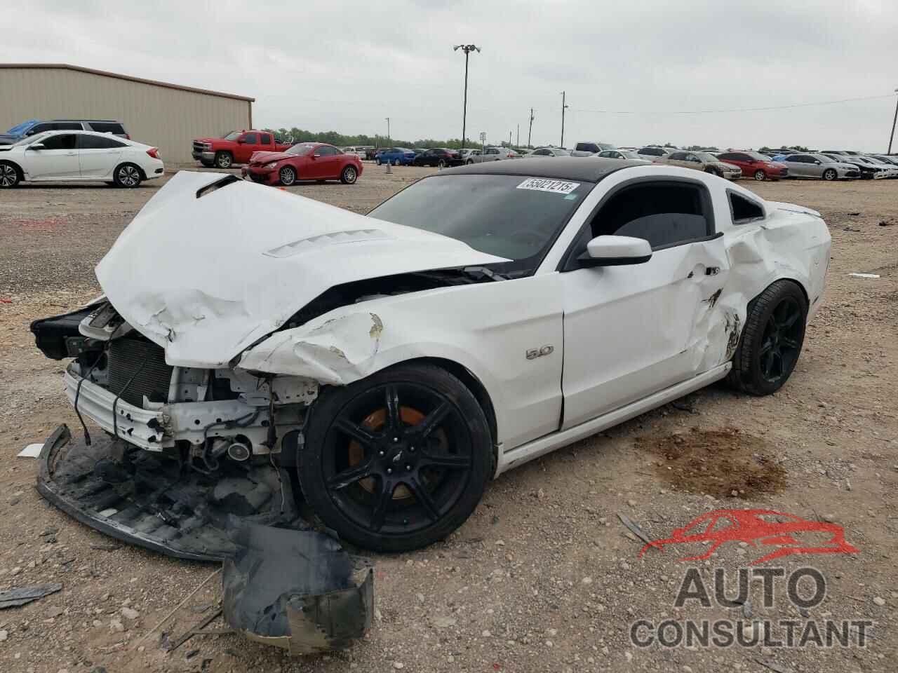 FORD MUSTANG 2014 - 1ZVBP8CF5E5332381