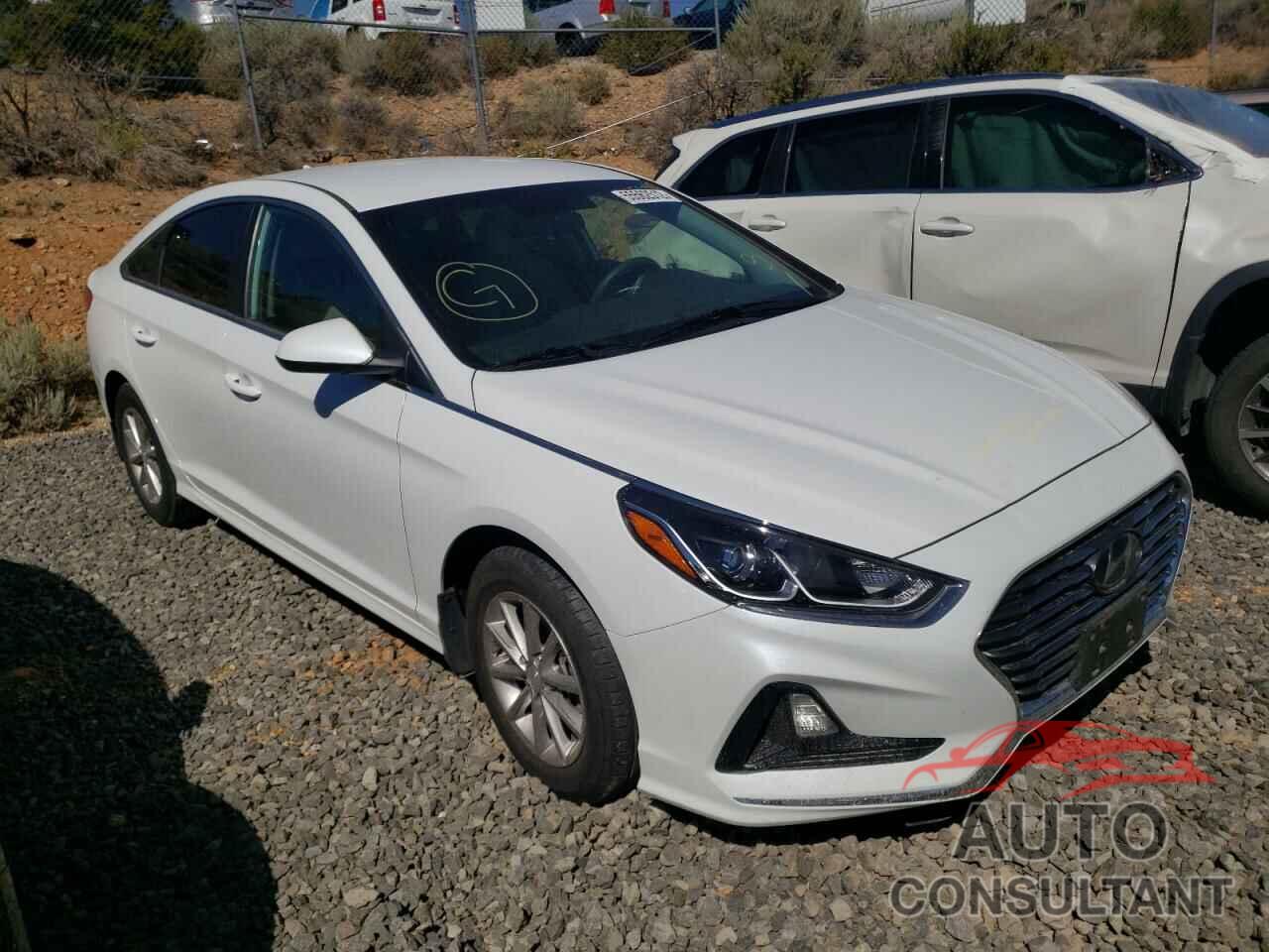 HYUNDAI SONATA 2019 - 5NPE24AF7KH742069