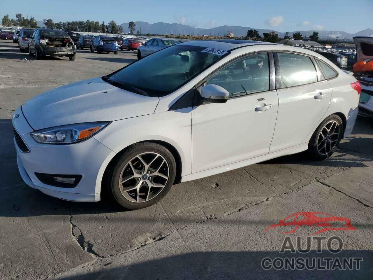 FORD FOCUS 2016 - 1FADP3F26GL336032