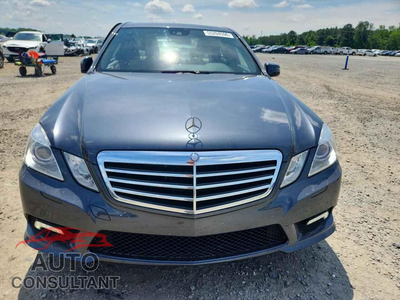 MERCEDES-BENZ E-CLASS 2010 - WDDHF5GB7AA078797