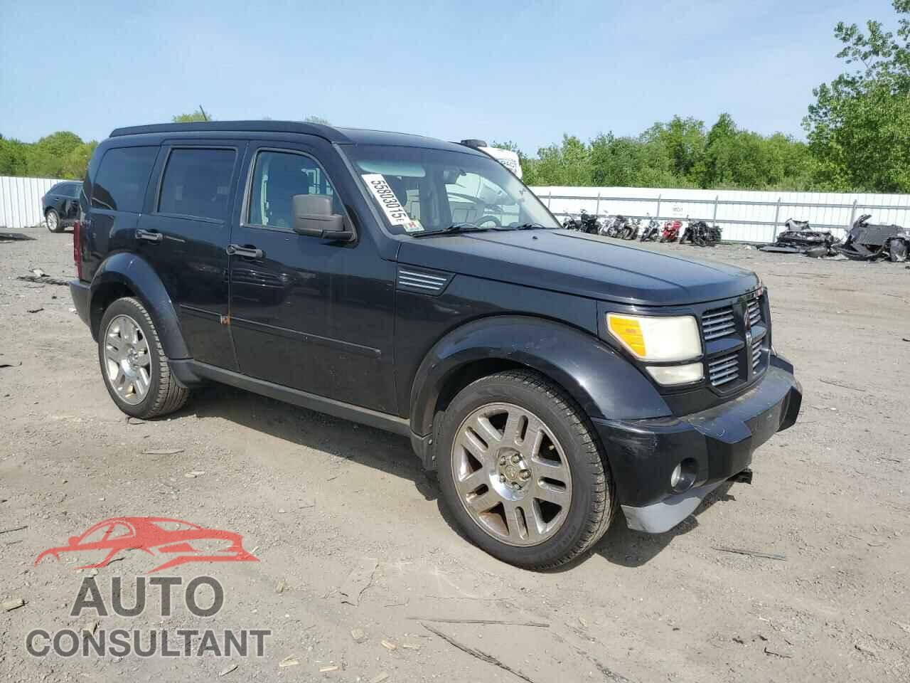 DODGE NITRO 2011 - 1D4PU4GX5BW504916