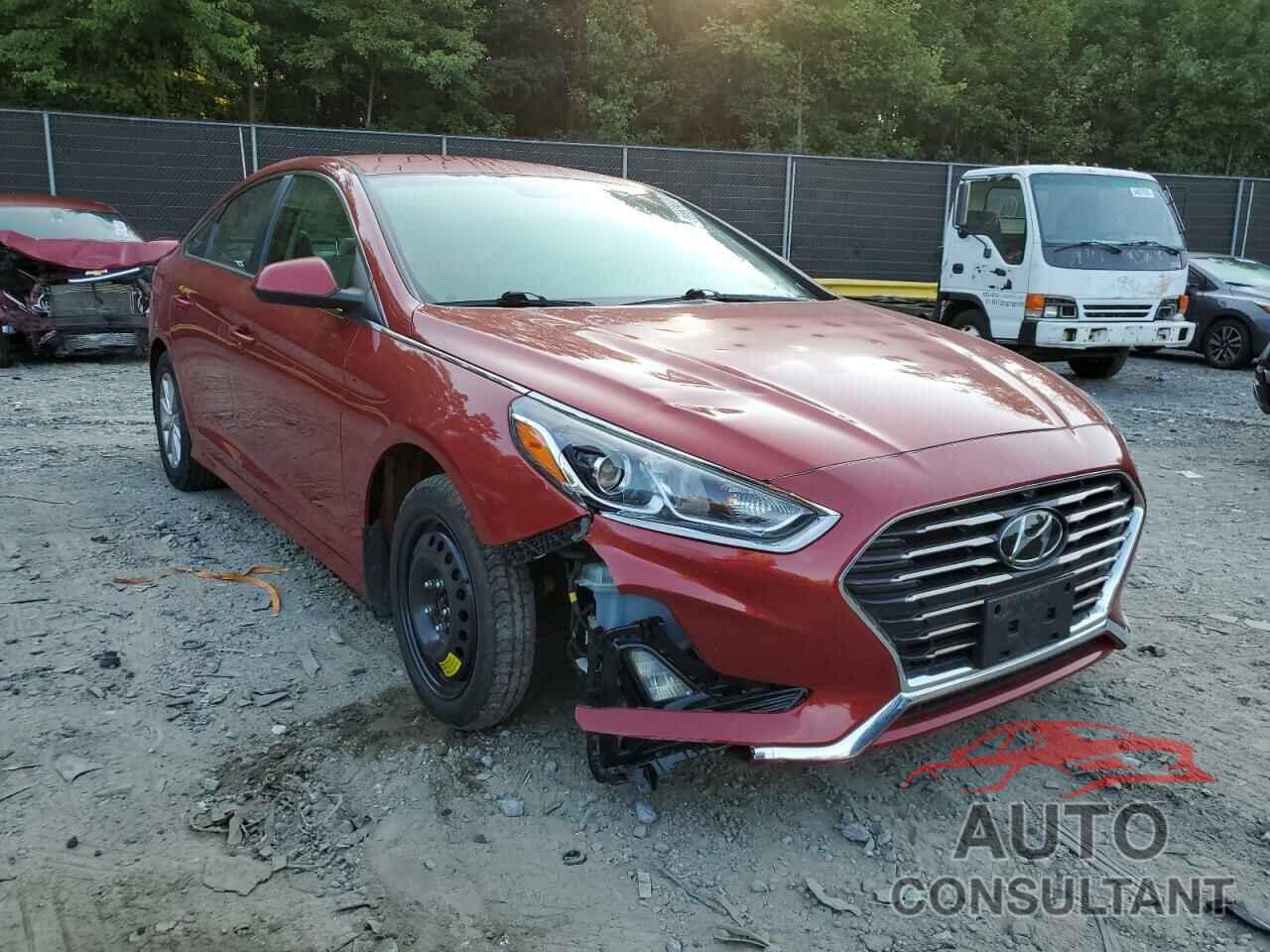 HYUNDAI SONATA 2019 - 5NPE24AF0KH729132