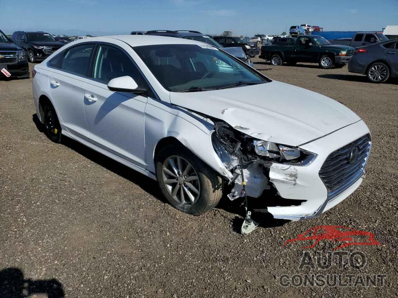 HYUNDAI SONATA 2019 - 5NPE24AF9KH771556