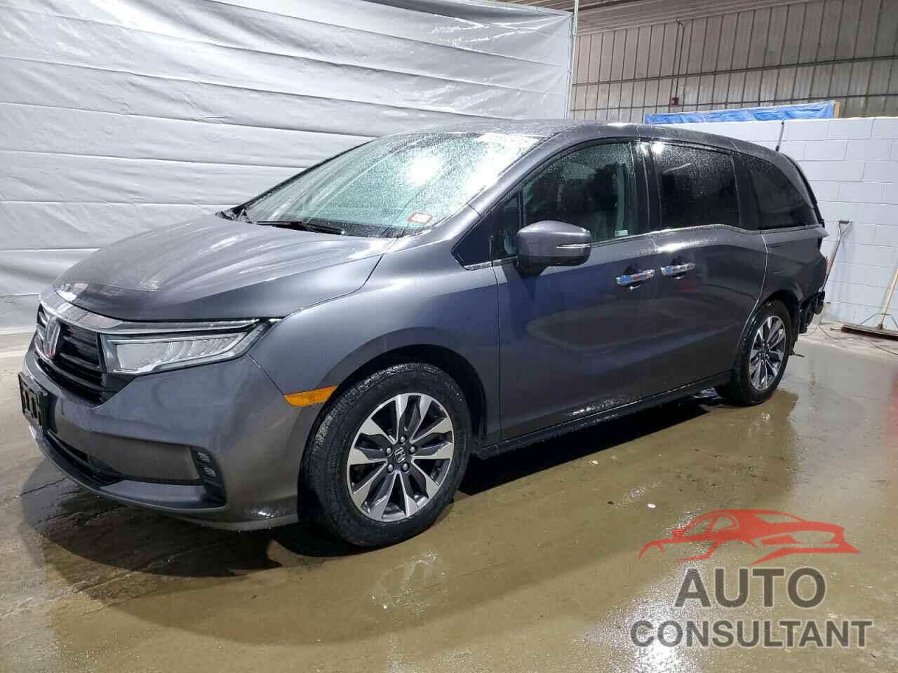 HONDA All Models 2023 - 5FNRL6H65PB025787