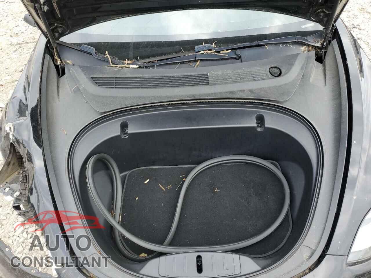 TESLA MODEL 3 2019 - 5YJ3E1EB5KF199176