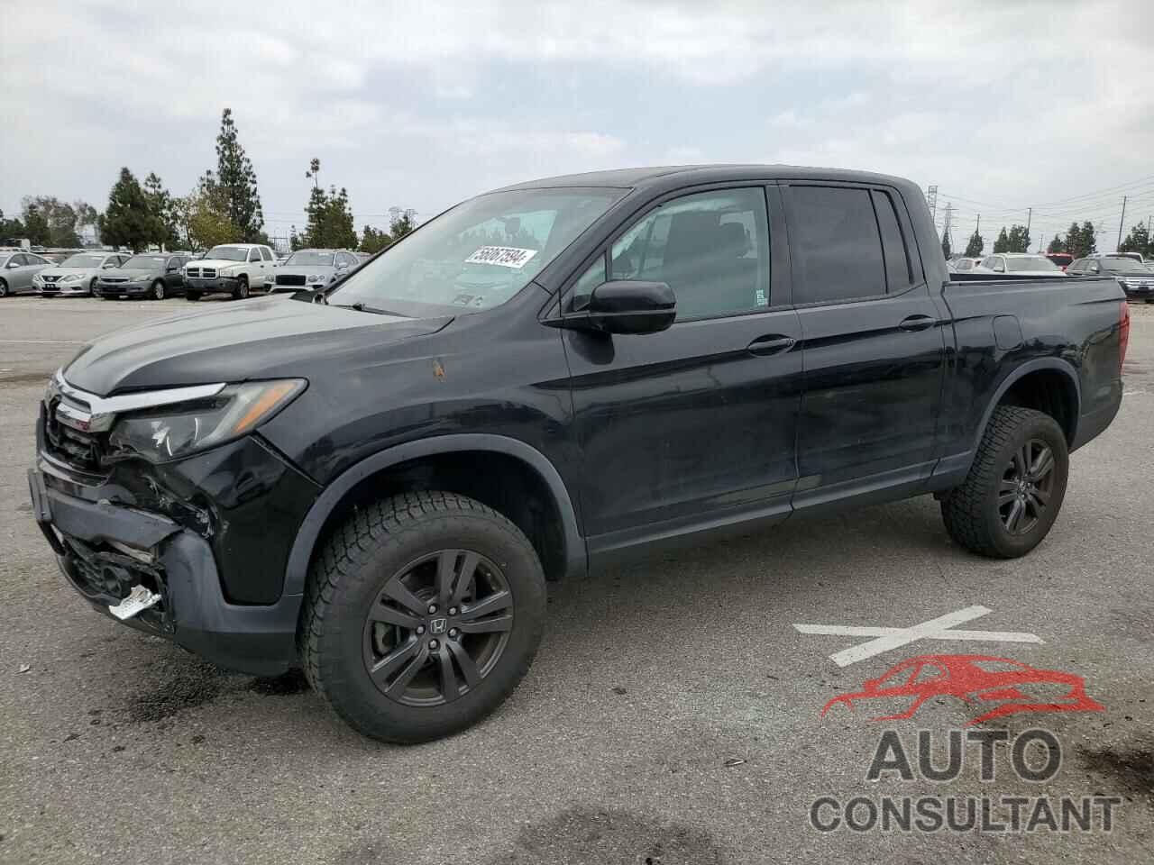 HONDA RIDGELINE 2019 - 5FPYK3F16KB007108