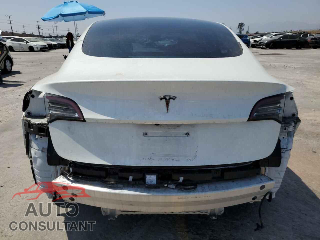 TESLA MODEL 3 2021 - 5YJ3E1EA2MF097442