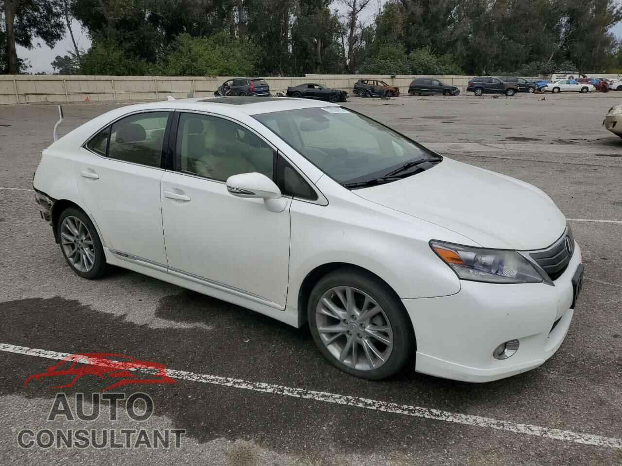 LEXUS HS 2010 - JTHBB1BA0A2021546