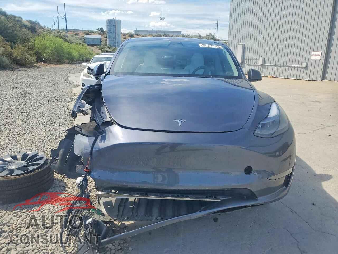 TESLA MODEL Y 2023 - 7SAYGDEF9PF711908