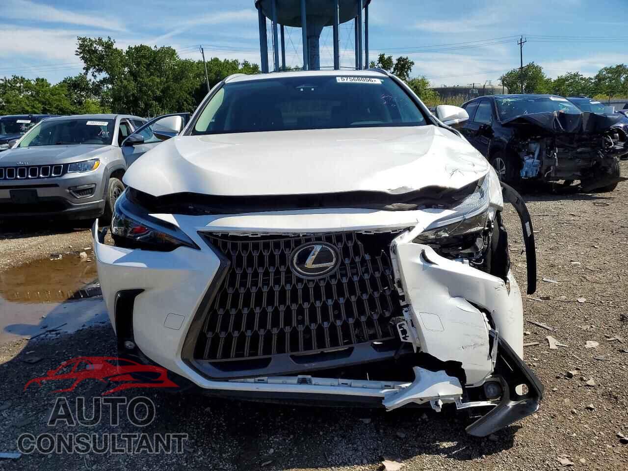 LEXUS NX 2024 - 2T2AGCEZ4RC059575