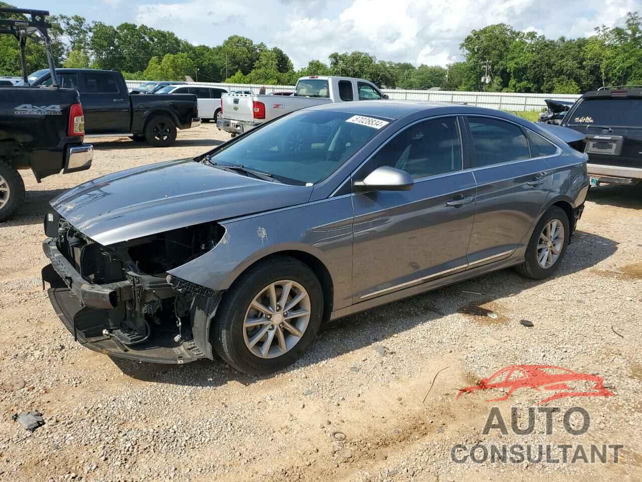 HYUNDAI SONATA 2019 - 5NPE24AF6KH819322