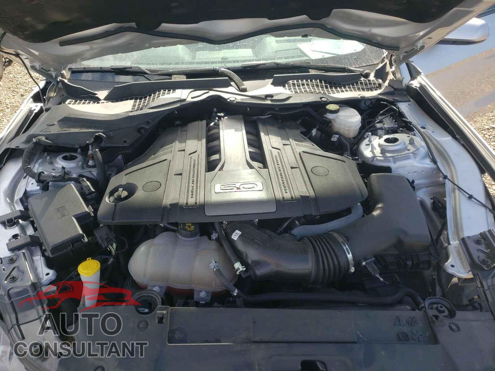 FORD MUSTANG 2019 - 1FA6P8CF9K5202108