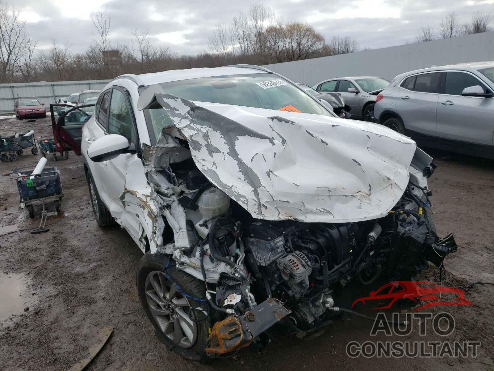 HYUNDAI TUCSON 2017 - KM8J3CA41HU268652
