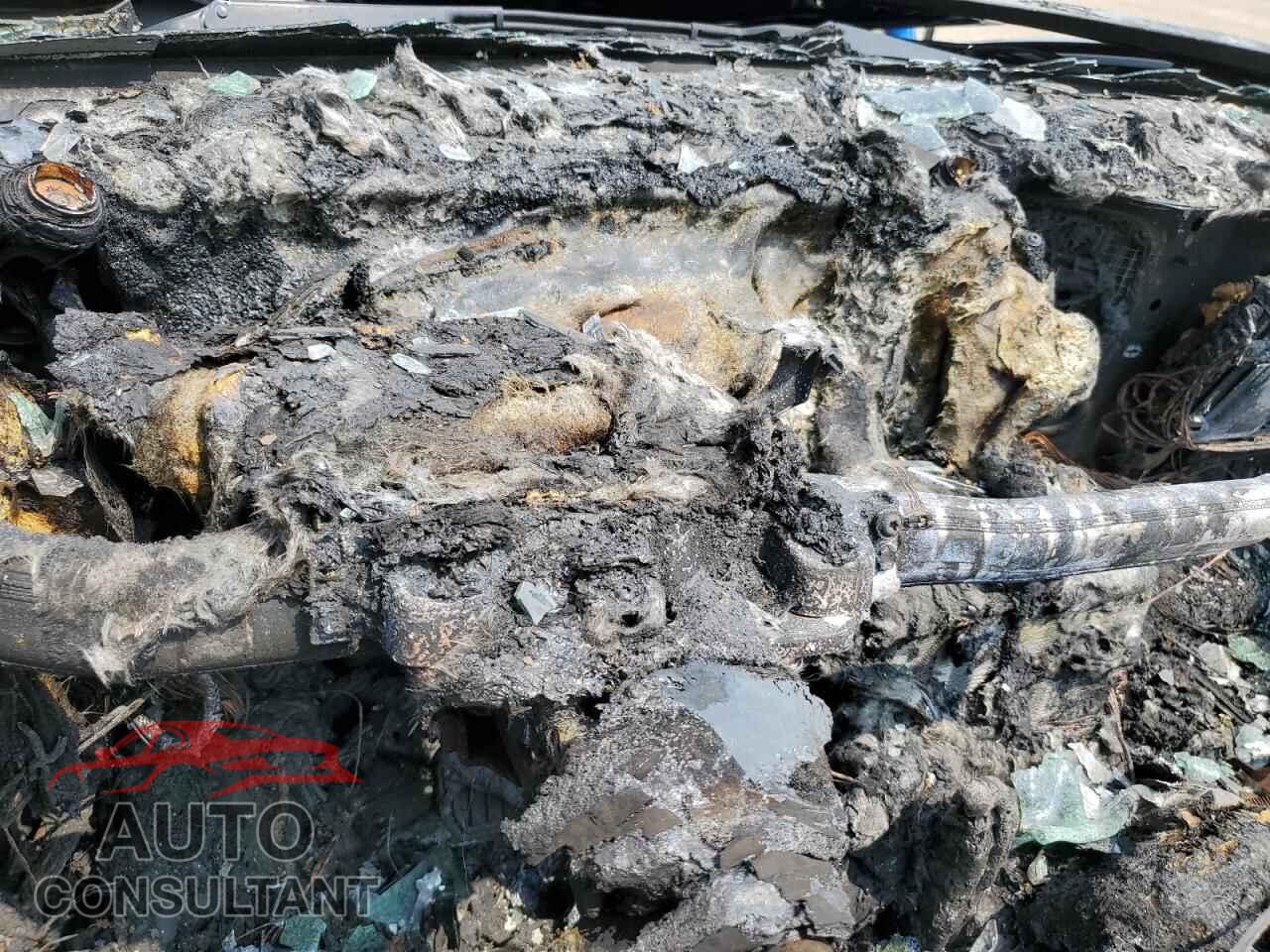 TESLA MODEL 3 2020 - 5YJ3E1EA8LF789798
