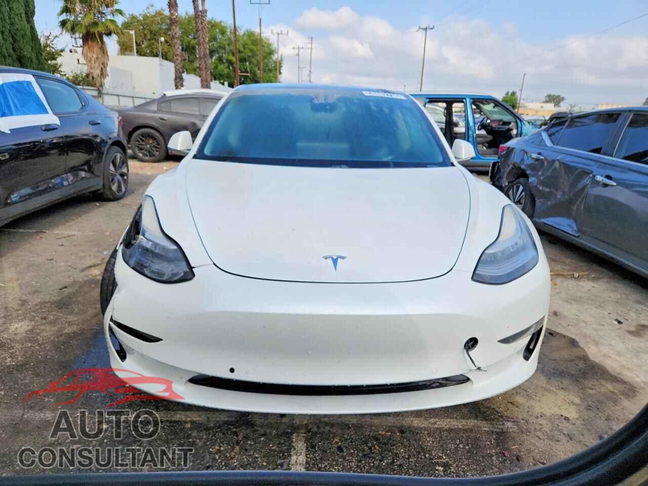 TESLA MODEL 3 2019 - 5YJ3E1EA7KF401491