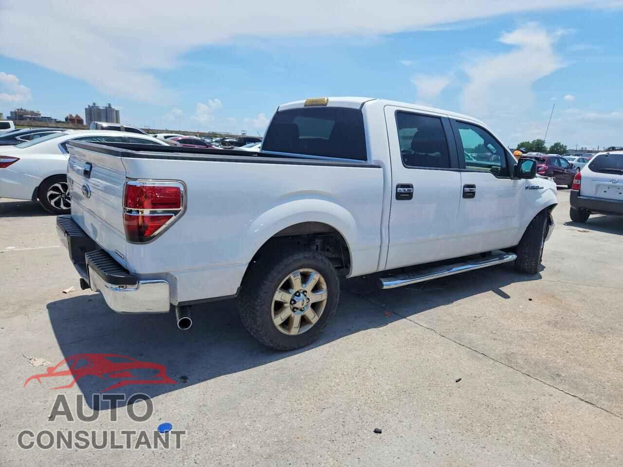 FORD F150 2013 - 1FTEW1CM5DFD93330