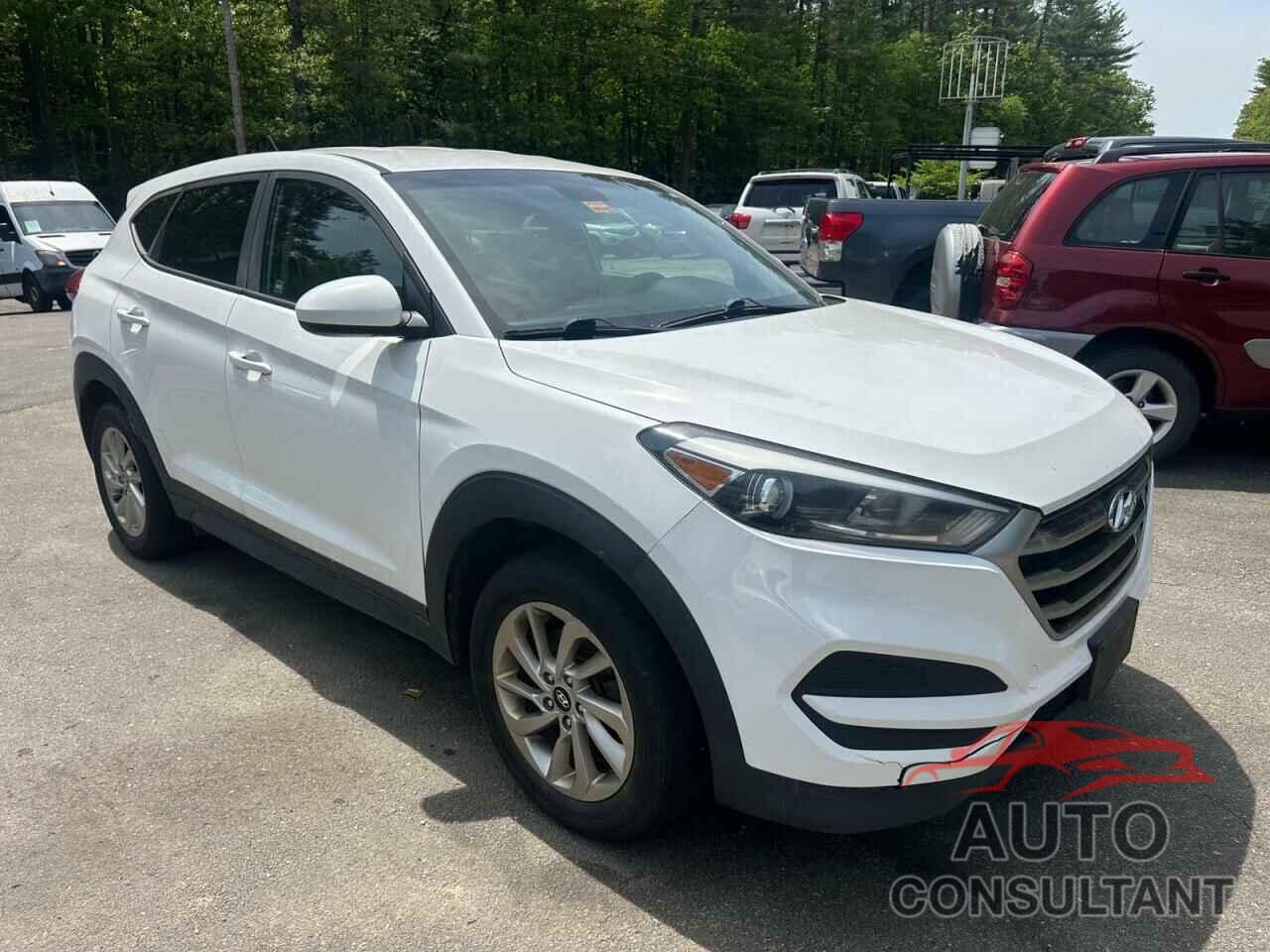 HYUNDAI TUCSON 2018 - KM8J2CA47JU660172