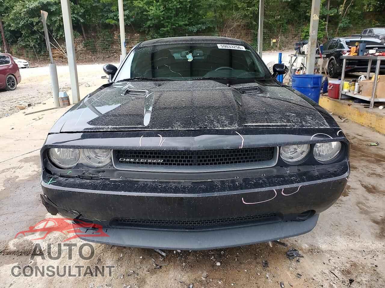 DODGE CHALLENGER 2014 - 2C3CDYAG4EH136683