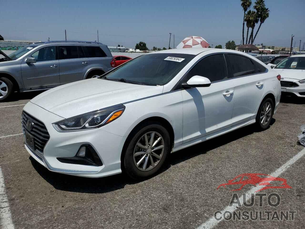 HYUNDAI SONATA 2019 - 5NPE24AF6KH742922