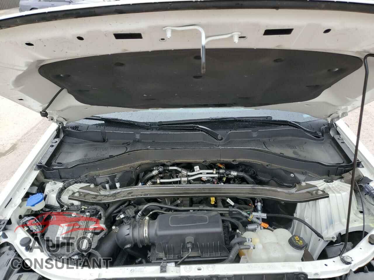 FORD EXPLORER 2022 - 1FMSK8FH2NGB27972