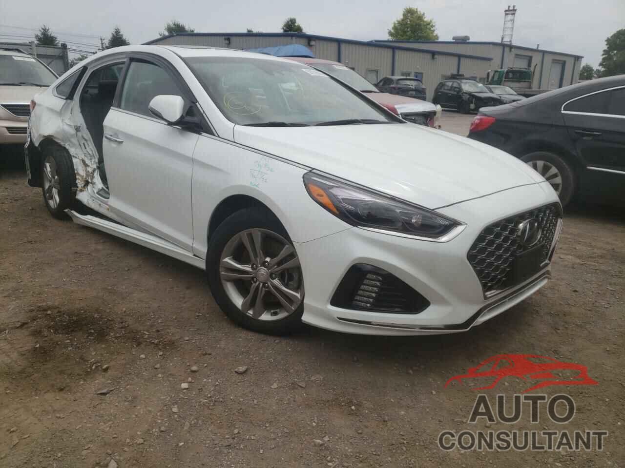 HYUNDAI SONATA 2018 - 5NPE34AF3JH702938
