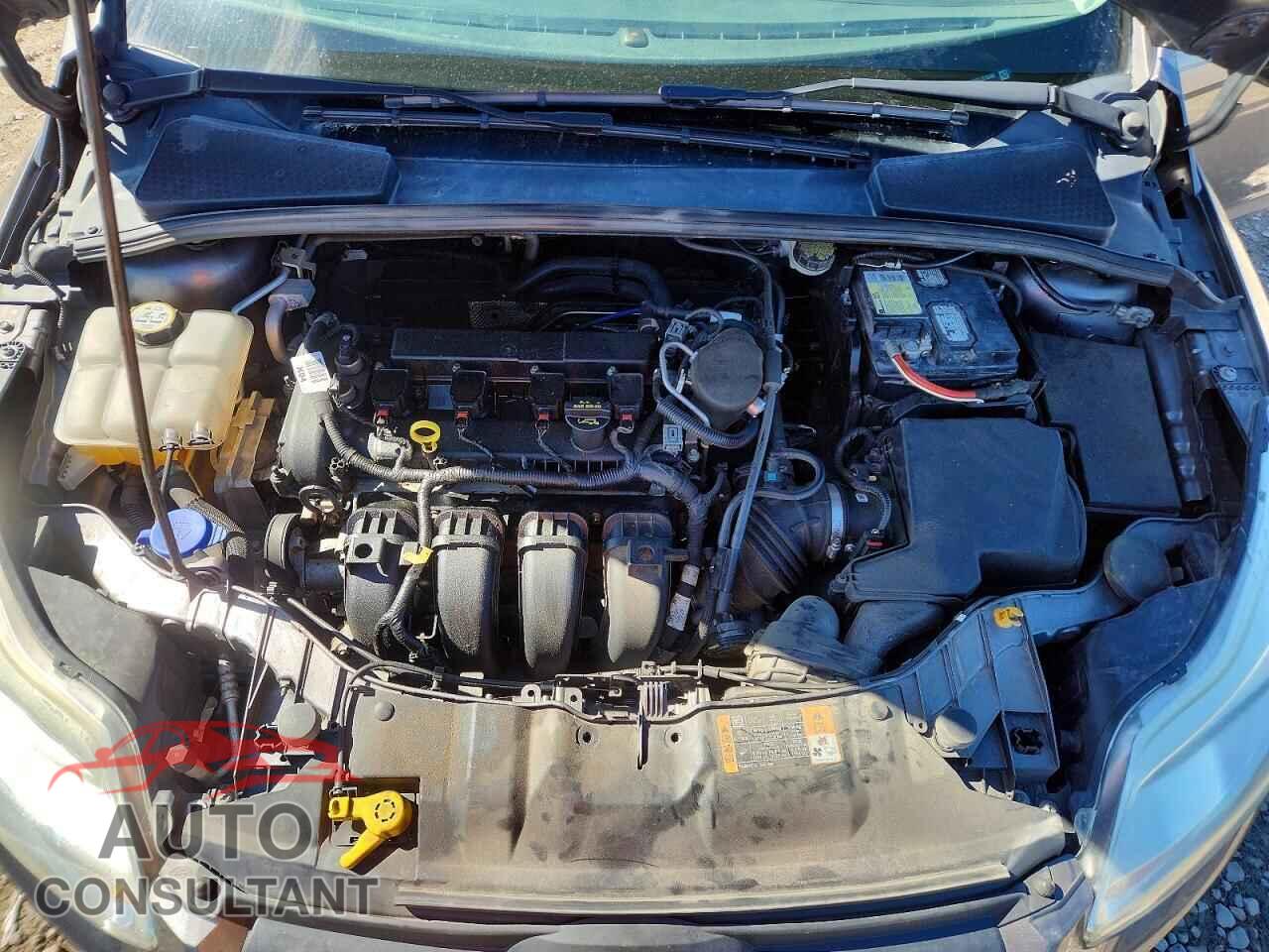 FORD FOCUS 2014 - 1FADP3F25EL313340