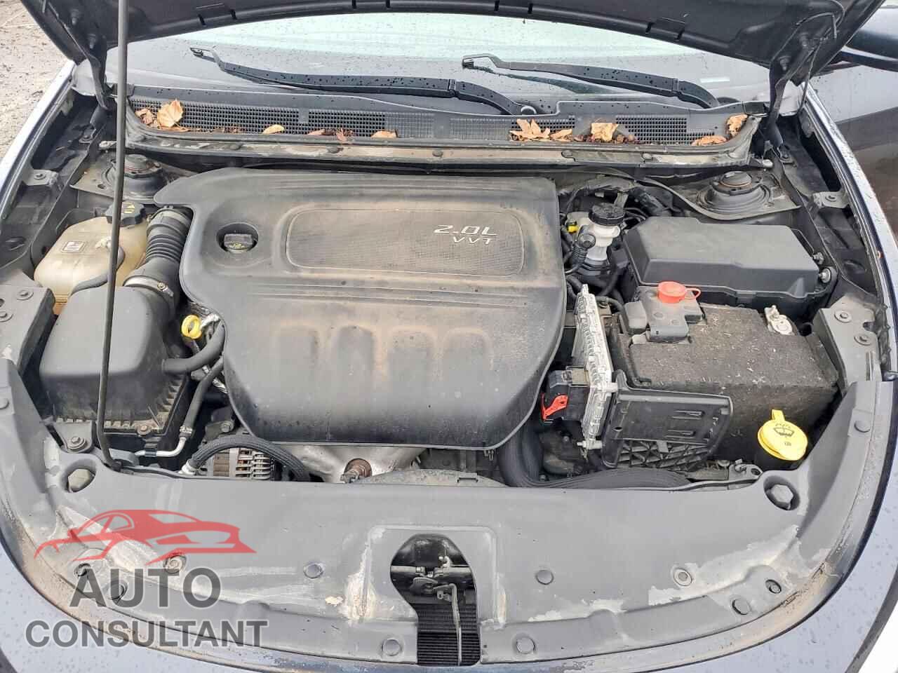 DODGE DART 2013 - 1C3CDFBAXDD335960