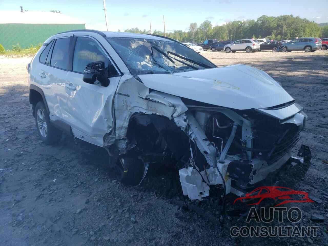 TOYOTA RAV4 2019 - 2T3MWRFV2KW043244