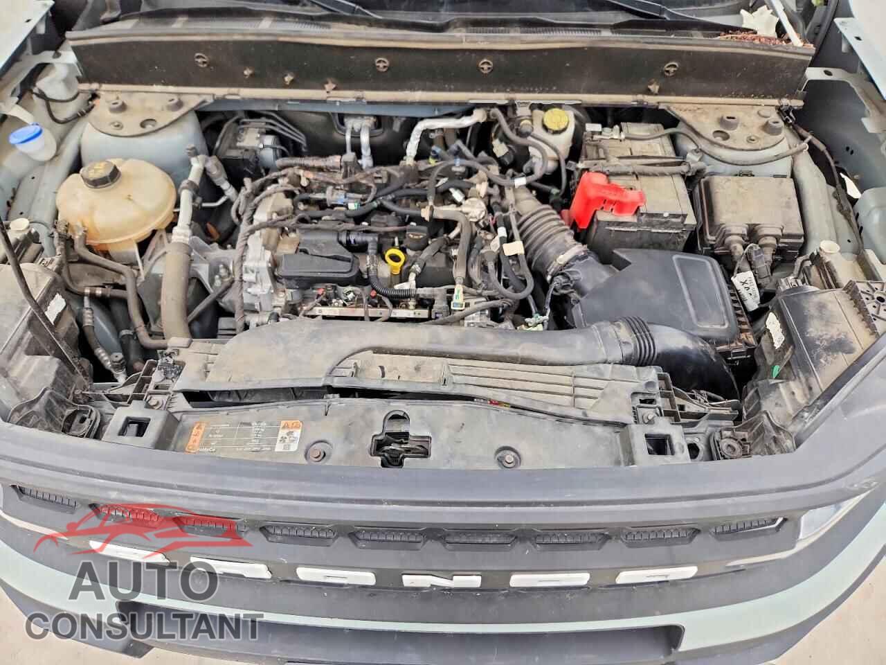 FORD BRONCO 2023 - 3FMCR9B63PRD50690