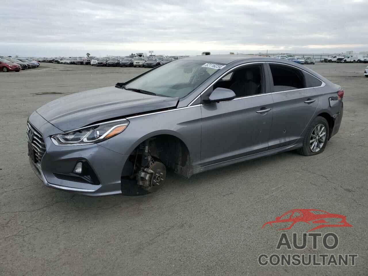 HYUNDAI SONATA 2019 - 5NPE24AF5KH781856