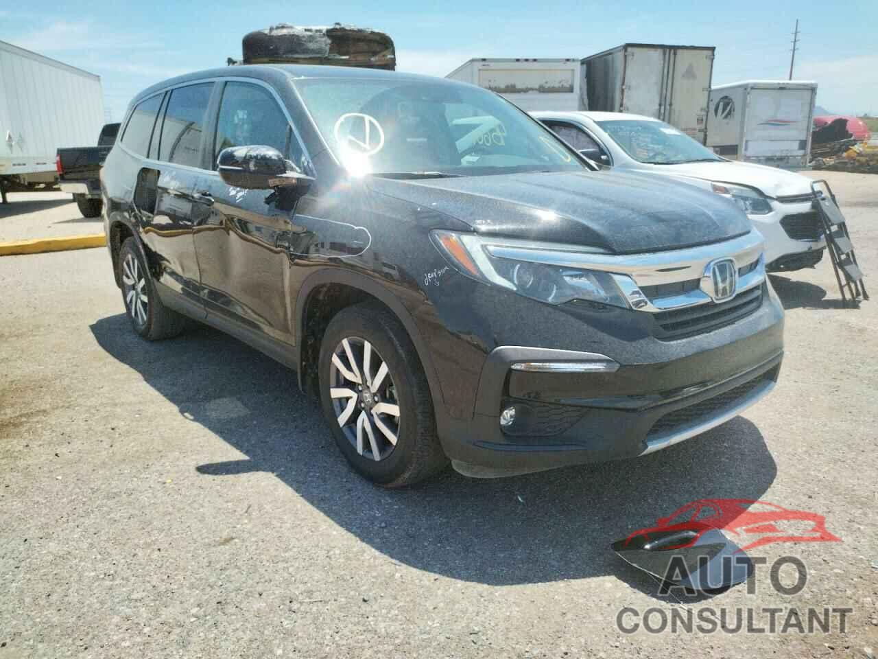 HONDA PILOT 2019 - 5FNYF6H59KB053191