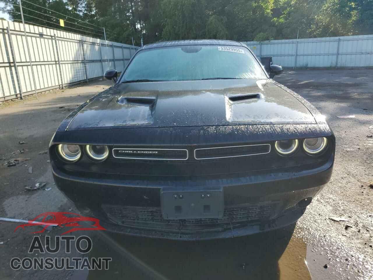 DODGE CHALLENGER 2019 - 2C3CDZAG1KH637094
