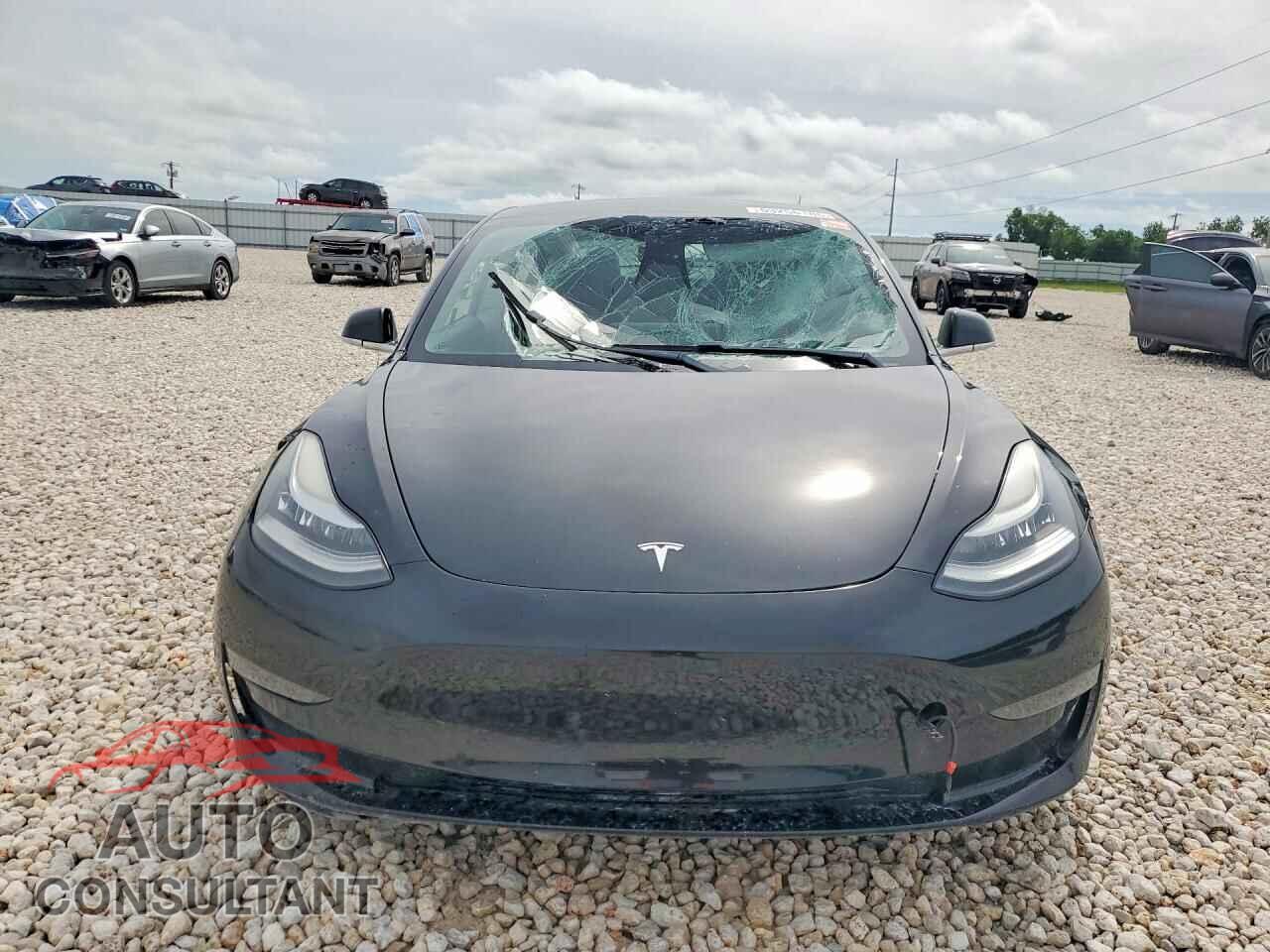 TESLA MODEL 3 2019 - 5YJ3E1EB2KF384205