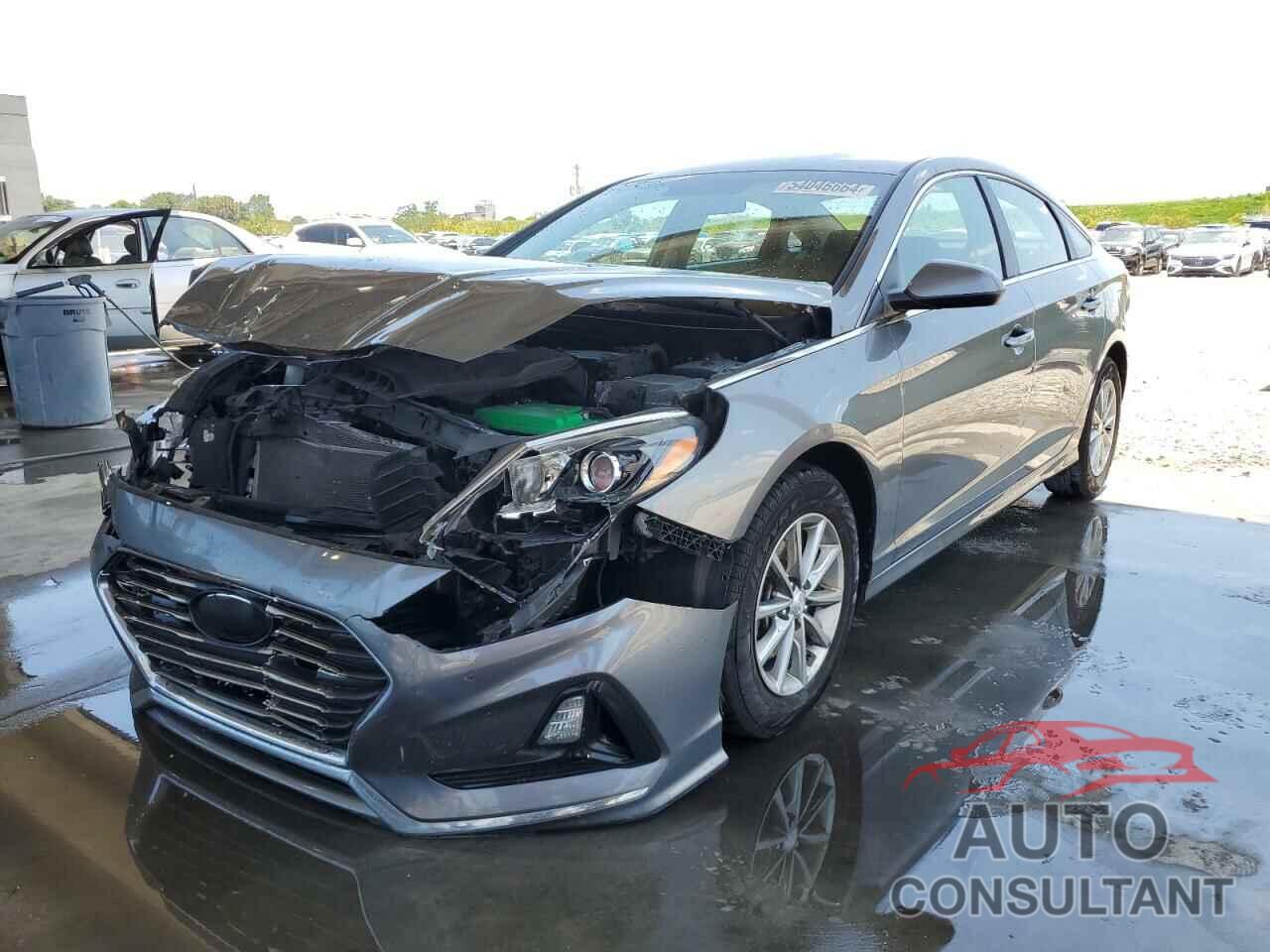 HYUNDAI SONATA 2019 - 5NPE24AF4KH735239
