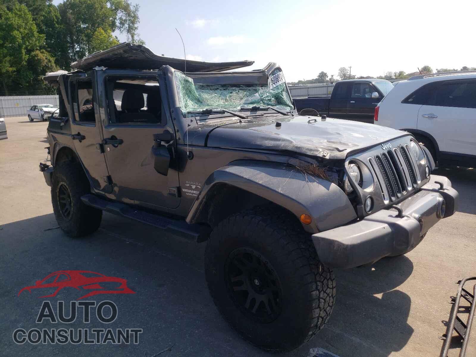 JEEP WRANGLER 2017 - 1C4BJWEG3HL503689